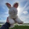 bunnyk2013